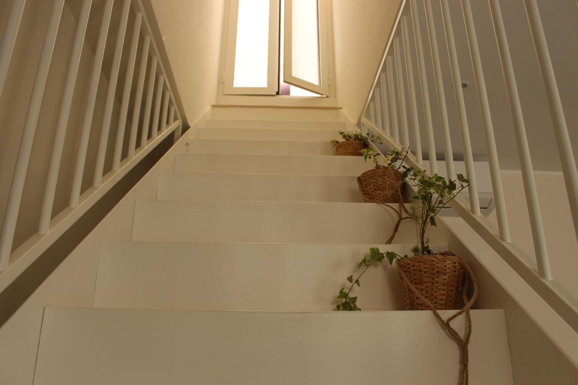 Vita Lenta Apulian Rooms 特拉尼 外观 照片